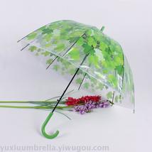 拱形树叶印刷透明伞 自动阿波罗伞 PVC伞