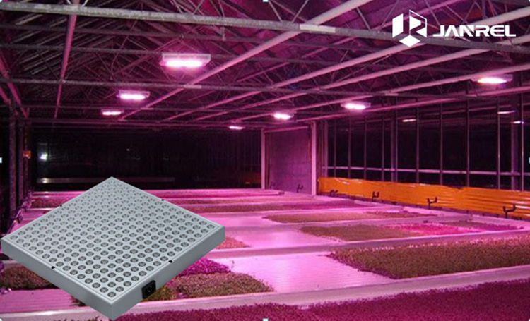 35wLED plant growth lamp Plant fill light lamp hanging square panel lamp Specification drawing
