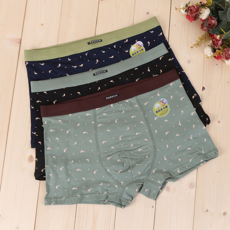 Pan Yun cute dolphin print boxer briefs for men