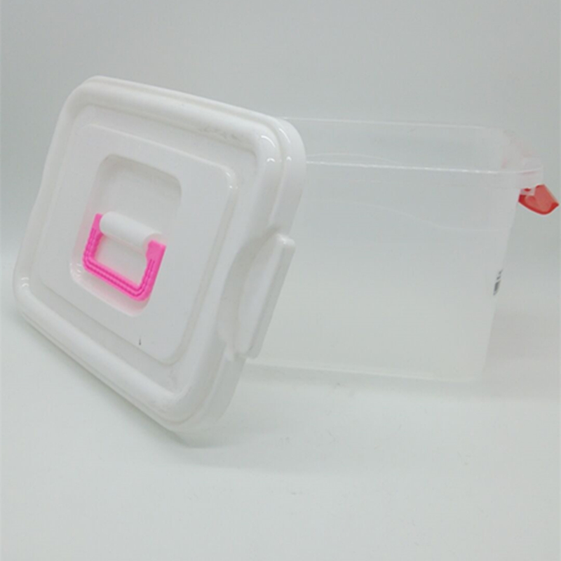 Small organizer Storage container Covered suitcase
