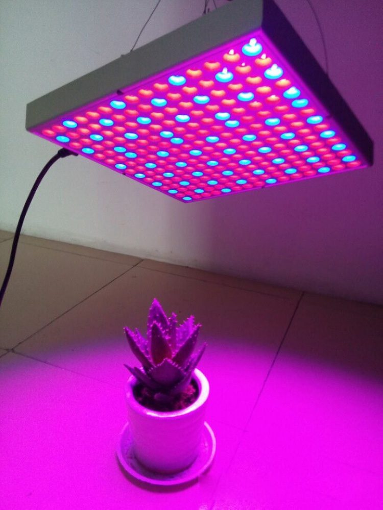 45W Red and blue patch LED plant light