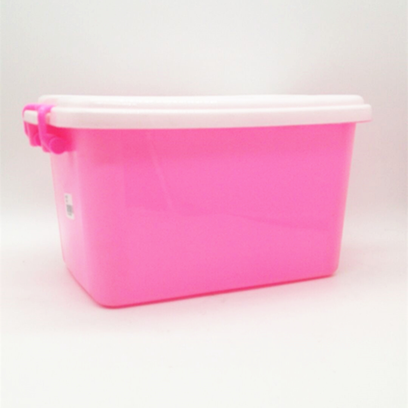 Organizer Storage container Covered carrying case