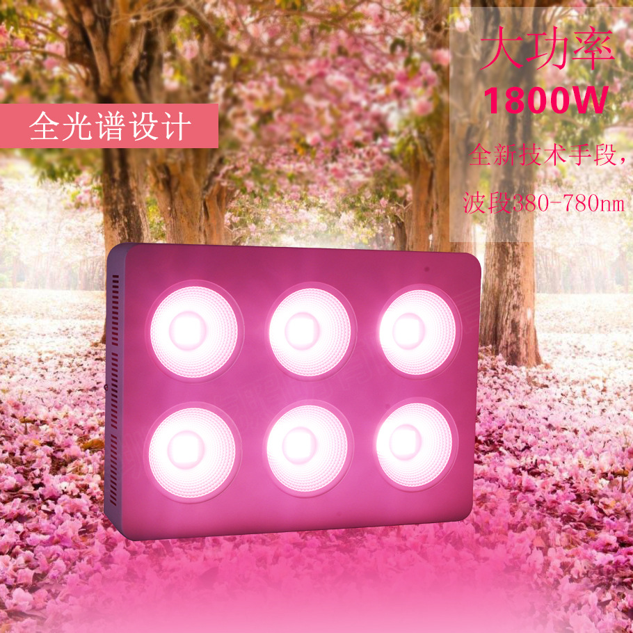 套装电动工具实物图