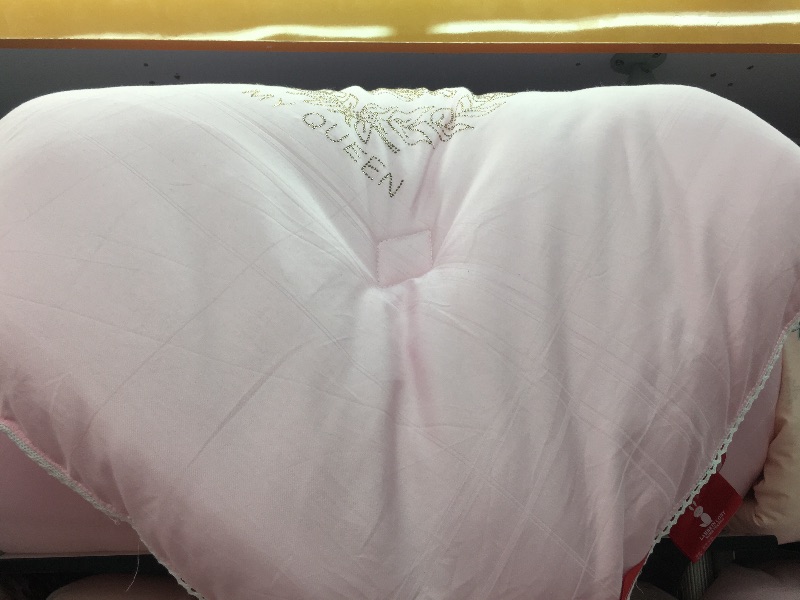 Bed Linen Fully Ironed Brick Winter Quilt details Picture