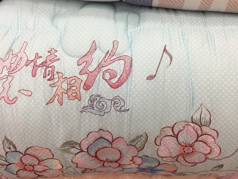 Bedding Embroidered Quilt Quilt Winter Quilt details Picture
