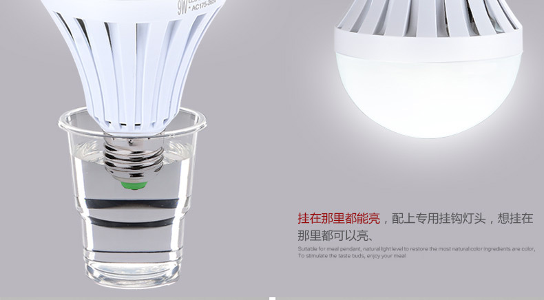 12W LED emergency bulb household and outdoor dual-purpose bulb LED lamp details Picture