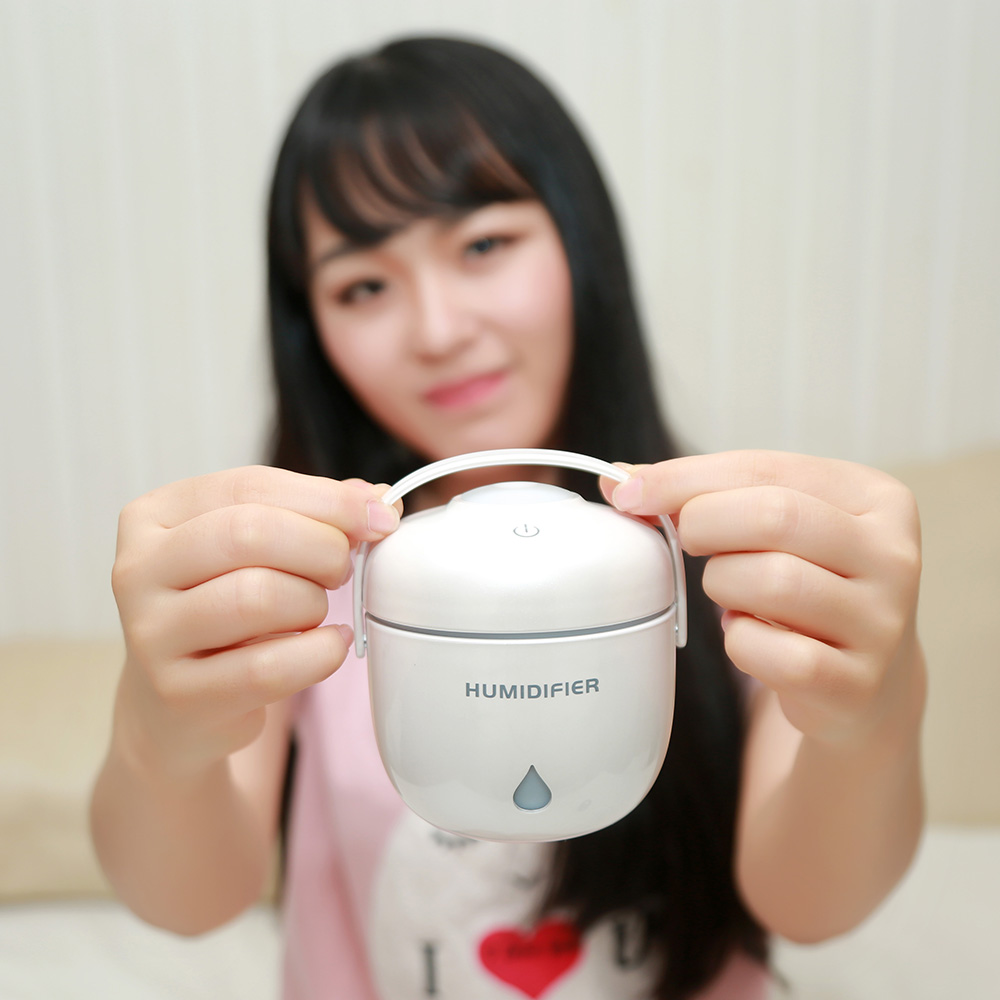 Creative Rice Cooker Humidifier USB Mini New rice cooker hydrates