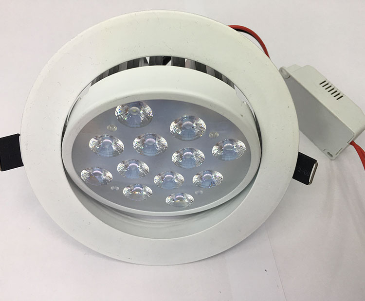 12W sunflower ceiling light LED ceiling light downlight LED light details Picture