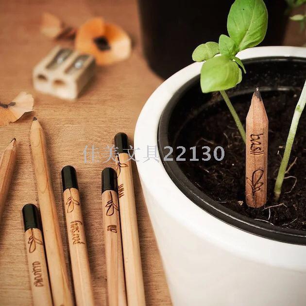 sprout可种植的铅笔生态发芽种子铅笔学生幼儿园创意生日礼物详情图2