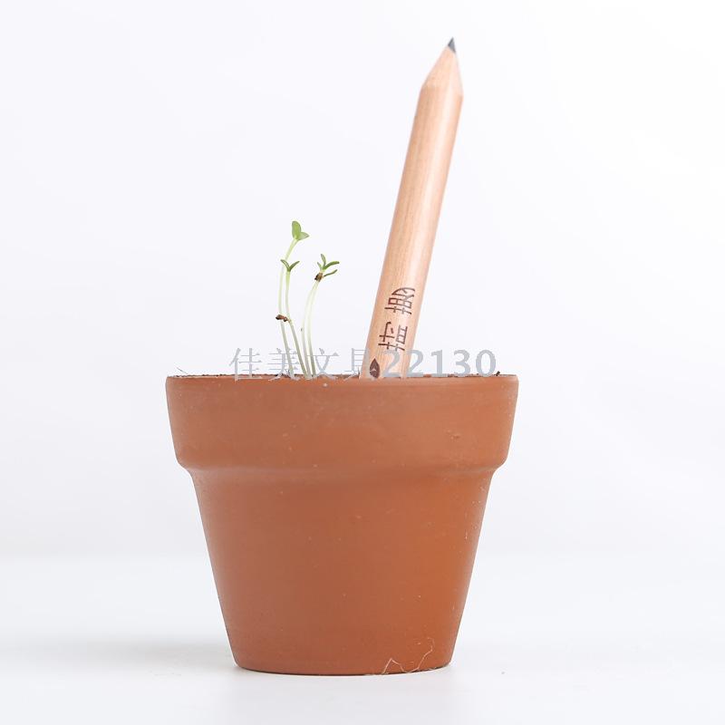 sprout可种植的铅笔生态发芽种子铅笔学生幼儿园创意生日礼物详情图4