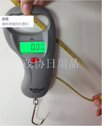 With meter measure tape portable portable electronic scale electronic fishing scale, hook weight