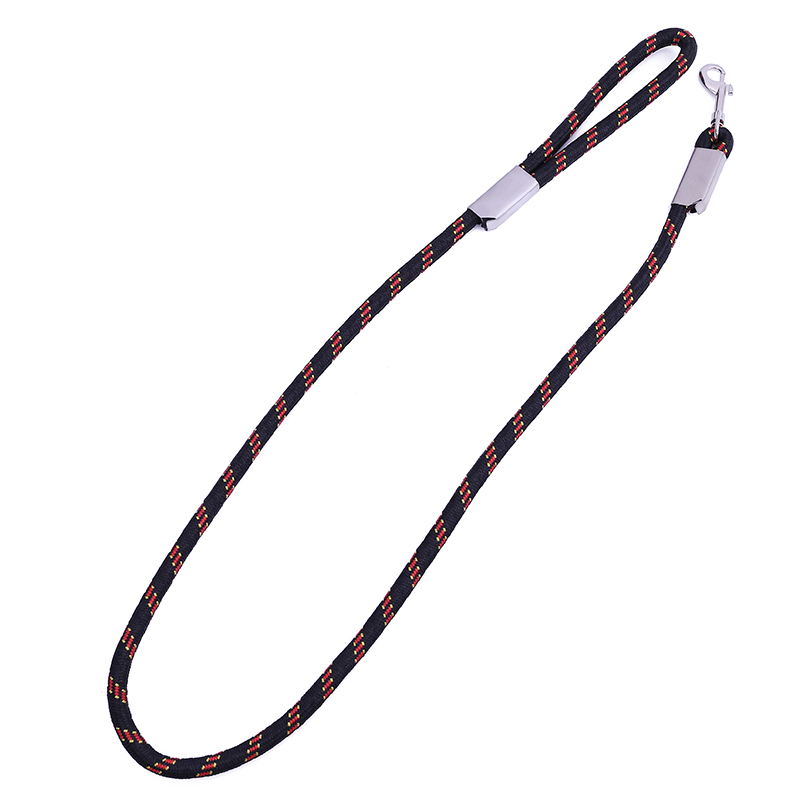 Factory direct sales of pet supplies: Pet 1.2 fine texture large P buckle leash details Picture