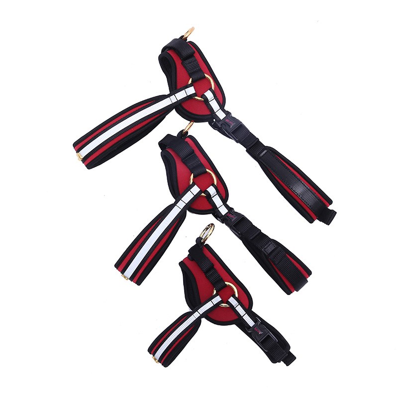 Factory direct sales of pet supplies: Dog running leash, pet chest and back anti-cushioning vest style chest and back details Picture
