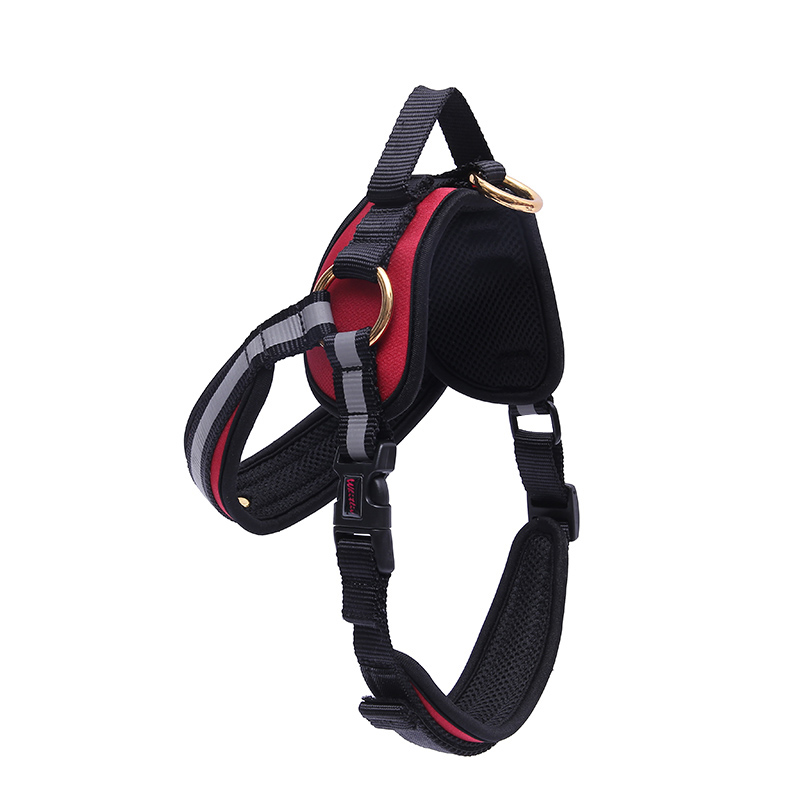 Factory direct sales of pet supplies: Dog running leash, pet chest and back anti-cushioning vest style chest and back Application Scenario