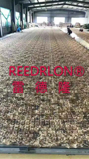 作训服/泳衣/军鞋军装/迷彩/儿童泳衣产品图
