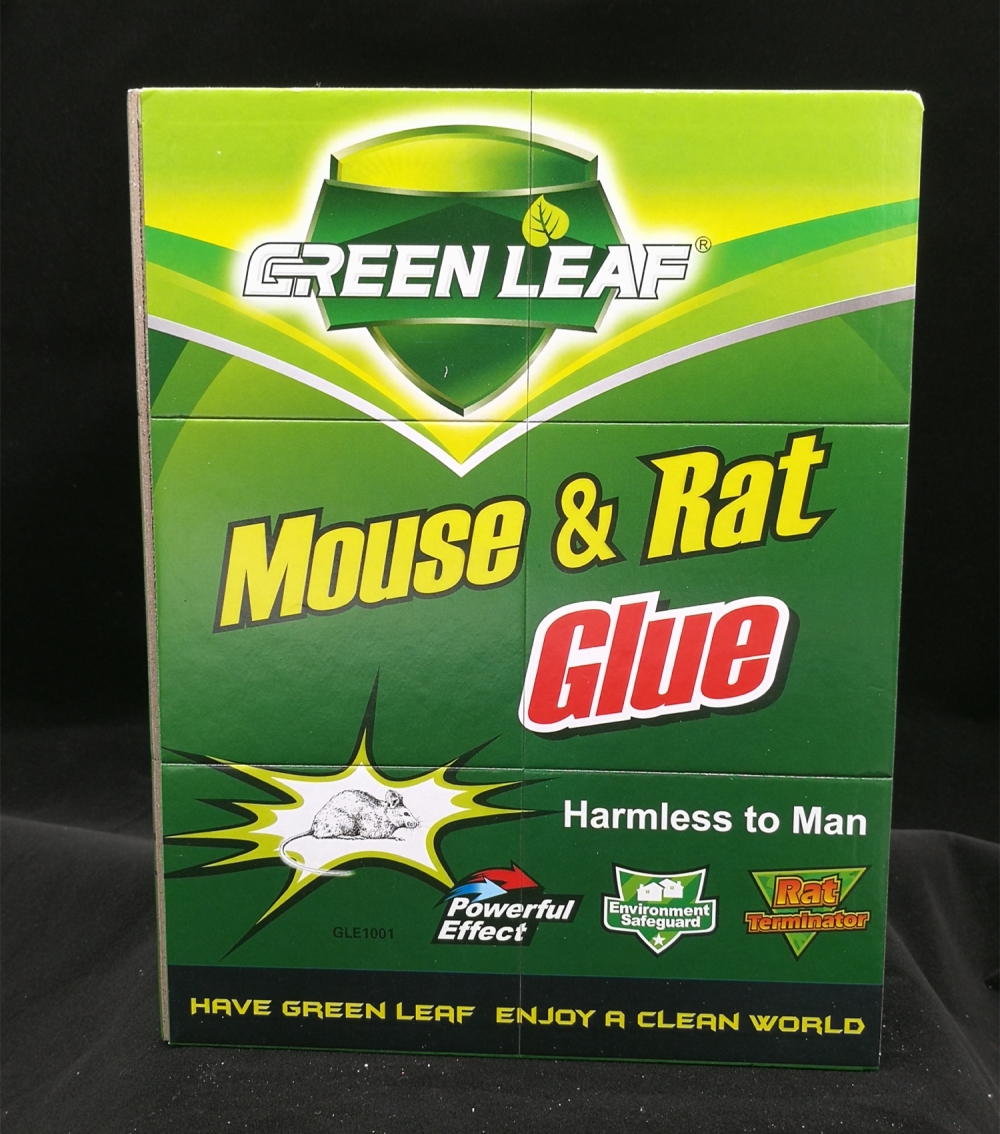 GLE1001 Super Powerful Mouse plate is environmentally friendly and non-toxic full figure