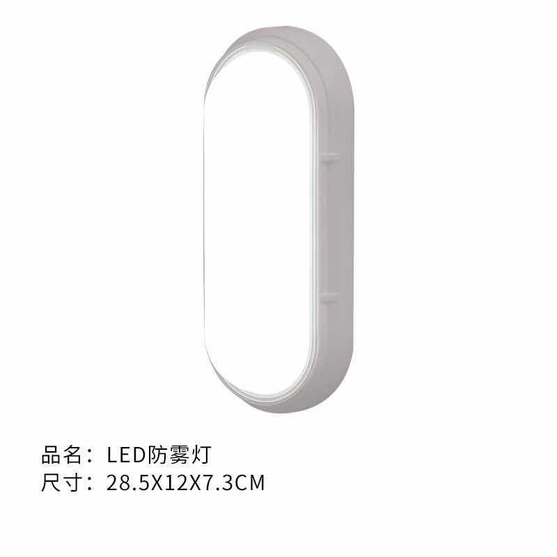 LED壁灯防雾灯10W细节图