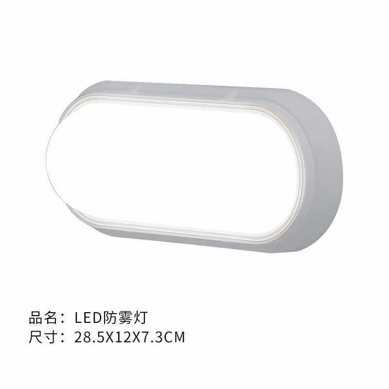 LED壁灯防雾灯10W产品图