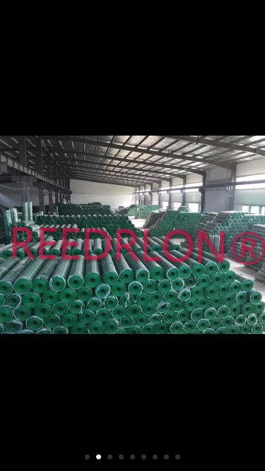 Redlong Dutch Net Green PVC-coated wire mesh fence welded wire mesh details Picture