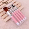 The five-piece set of Women's Era: makeup brush, honey powder brush, eyebrow brush, eyeshadow brush, lip brush, highlight and profile brush Application Scenario