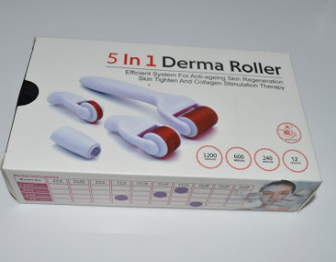 Factory direct sales 5 in 1 microneedle roller 540 4-in-1 Microneedle roller set Korean ice roller