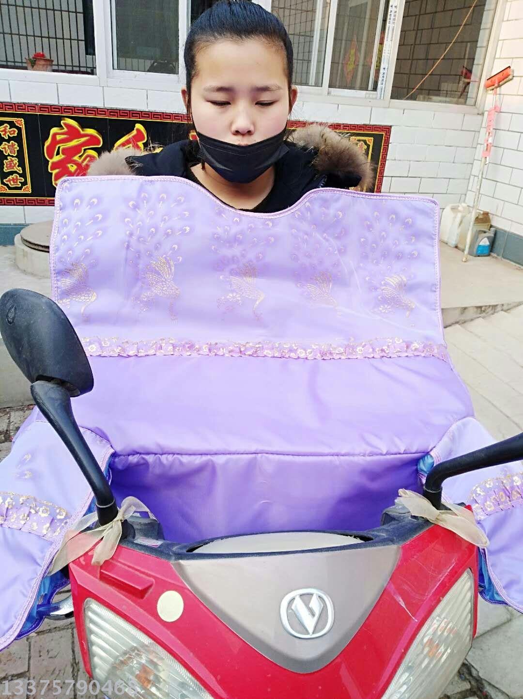 Electric car windshield summer windshield electric motorcycle windshield summer sunblock battery car waterproof sunshade thumbnail
