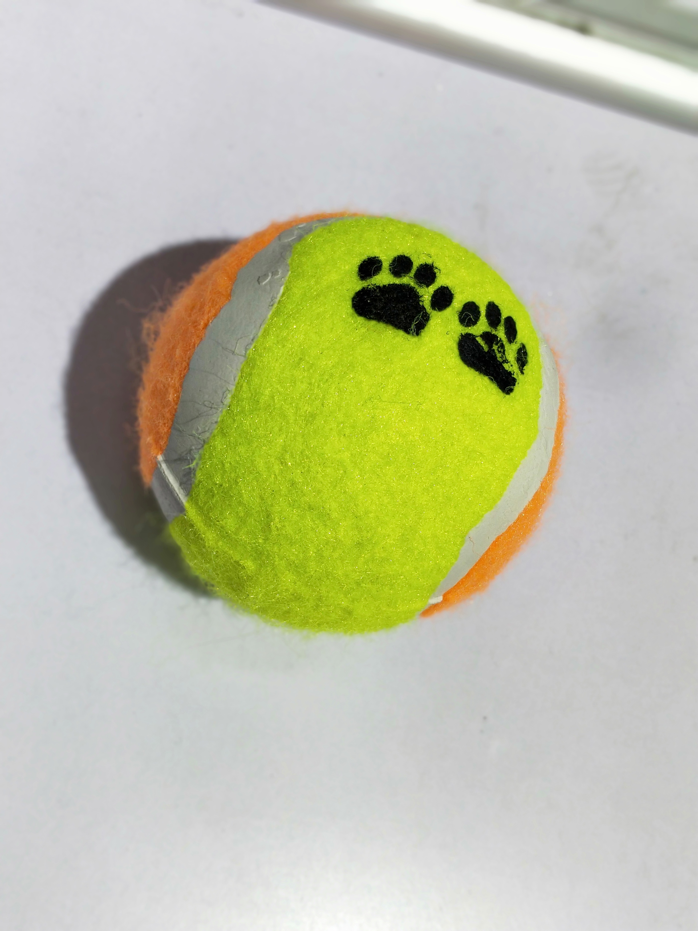 Factory direct sales of pet supplies and cat toys for playing with cats Application Scenario