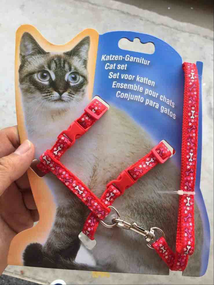 Pet patch leash, dog leash, cat leash, pet outdoor leash, chest and back set, cartoon
