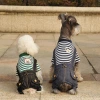 2016CQ Spring/Summer New pet clothing, dog Teddy Bichon, striped bear overalls, four-legged clothes Specification image