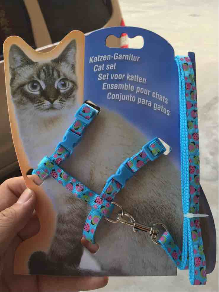 Pet patch leash, dog leash, cat leash, pet outdoor leash, chest and back set, cartoon Application Scenario