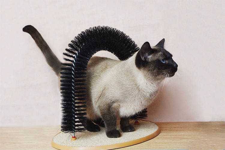Purrfect Nrch Cat toys, cat scratcher, cat arch brush, pet brush, TV product, new cat play Specification image