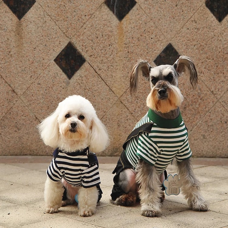 2016CQ Spring/Summer New pet clothing, dog Teddy Bichon, striped bear overalls, four-legged clothes Application Scenario