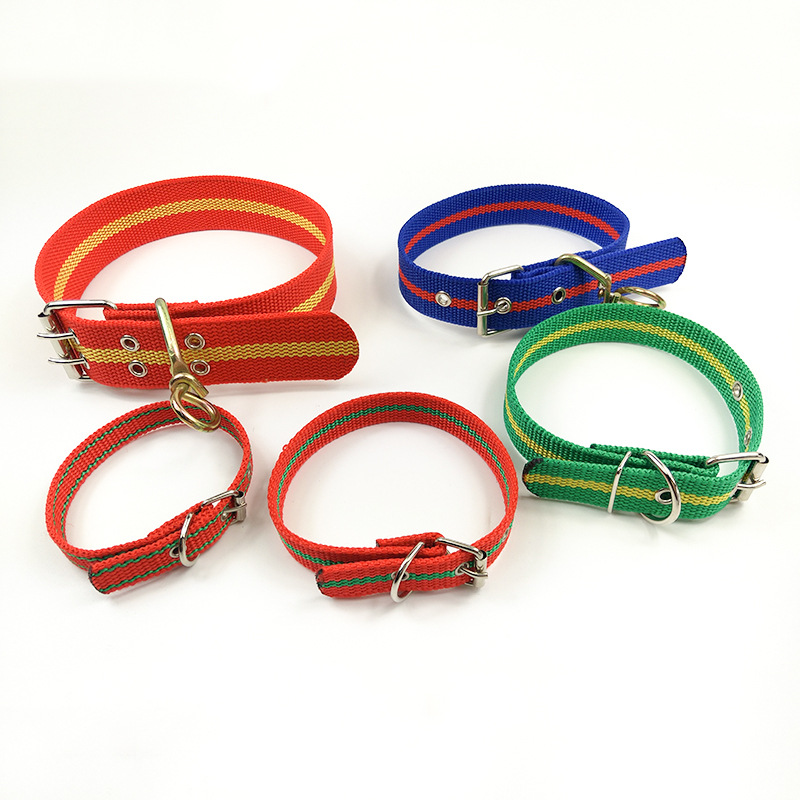 Factory direct sales of dog collars, polypropylene pet collars, sturdy and low price Specification image