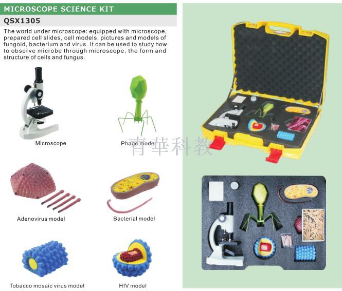  科学资源包/生物细胞科学产品图