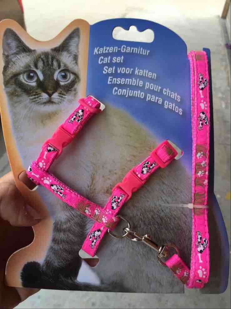 Yabei pet patch leash, dog leash, cat leash, pet outdoor leash, chest and back set, cartoon Specification image