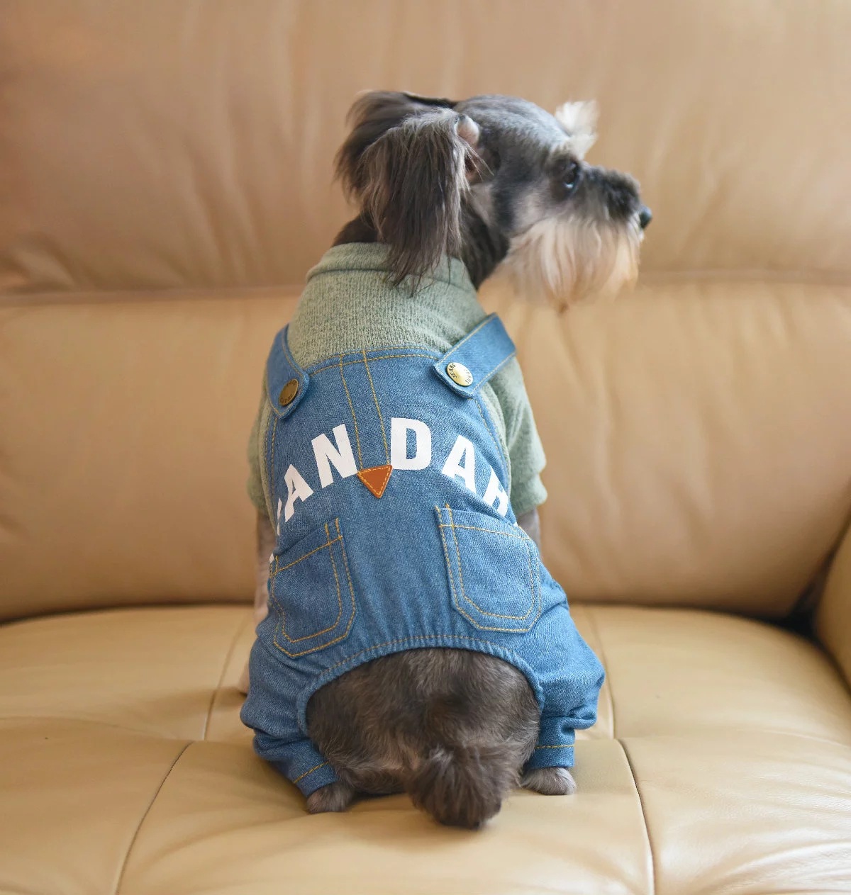2016 Autumn/Winter new style pet supplies in stock wholesale: Dog four-legged coat, letter print denim overalls set Specification image