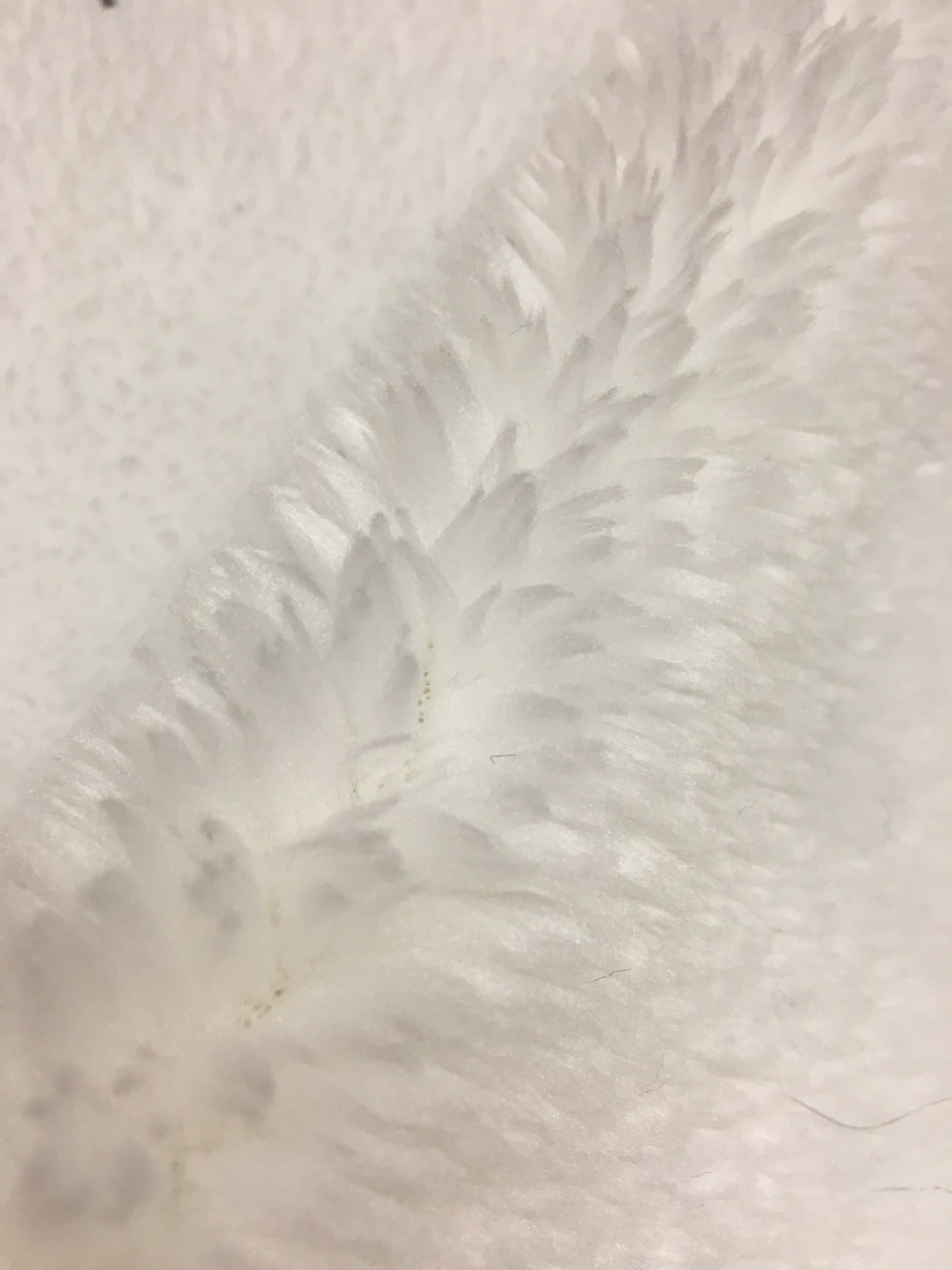 Direct sales from Cixi manufacturer of rolled fleece Application Scenario