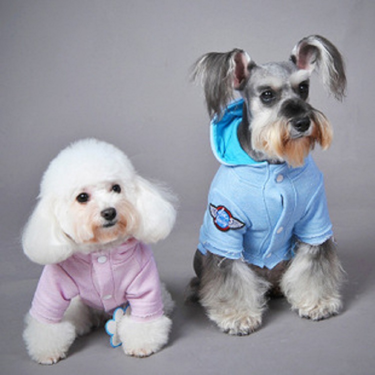 2015CQ Autumn/Winter new English printed hoodie pet clothes, Teddy dog pet clothes and supplies Specification image