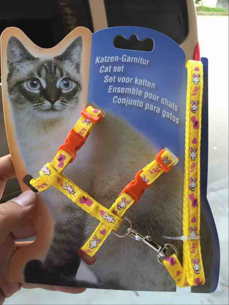 Yabei pet patch leash, dog leash, cat leash, pet outdoor leash, chest and back set, cartoon details Picture