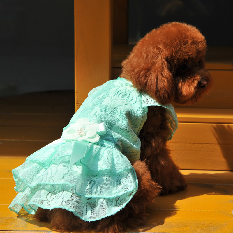 In 2025, Yabei CQ's new pet dog clothing, lace mesh skirt, teddy bichon Frise Specification image