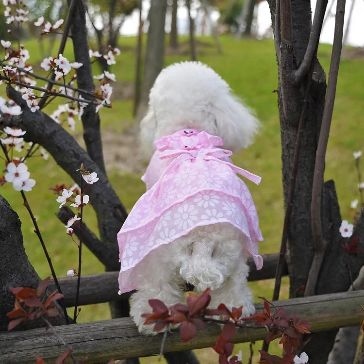 2016CQ Spring/Summer pet clothing, romantic cherry blossom dress, Teddy dog new style bestsellers details Picture