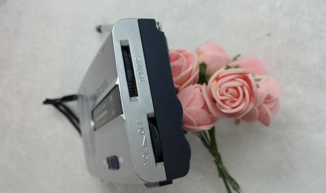 Radio details Picture