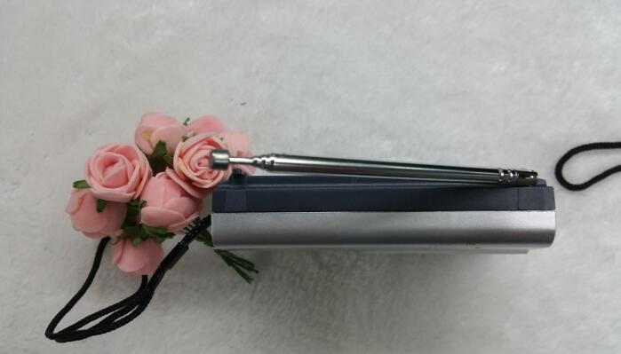 Radio details Picture