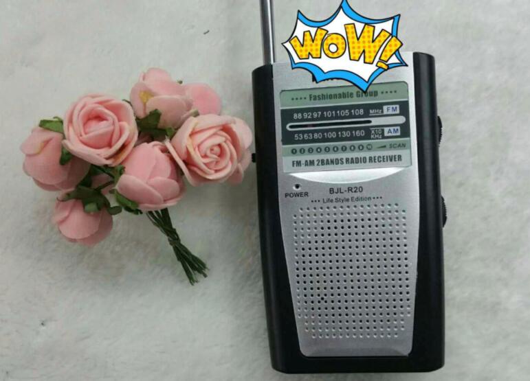 Radio details Picture