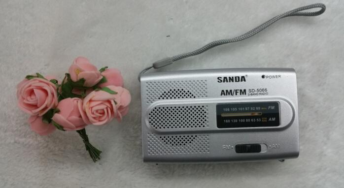 Radio Application Scenario
