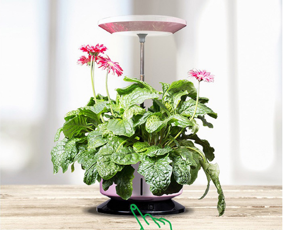 家庭智能种植机 全自动植物生长机 自动浇水创意智能花盆产品图
