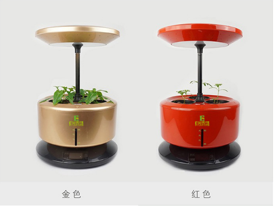 花盆装饰实物图