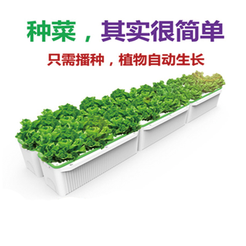 阳台菜园全自动植物生长机 自动浇水 花圃育苗盆