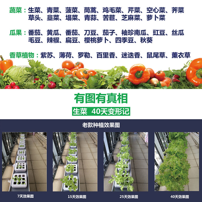 阳台菜园全自动植物生长机 自动浇水 花圃育苗盆细节图