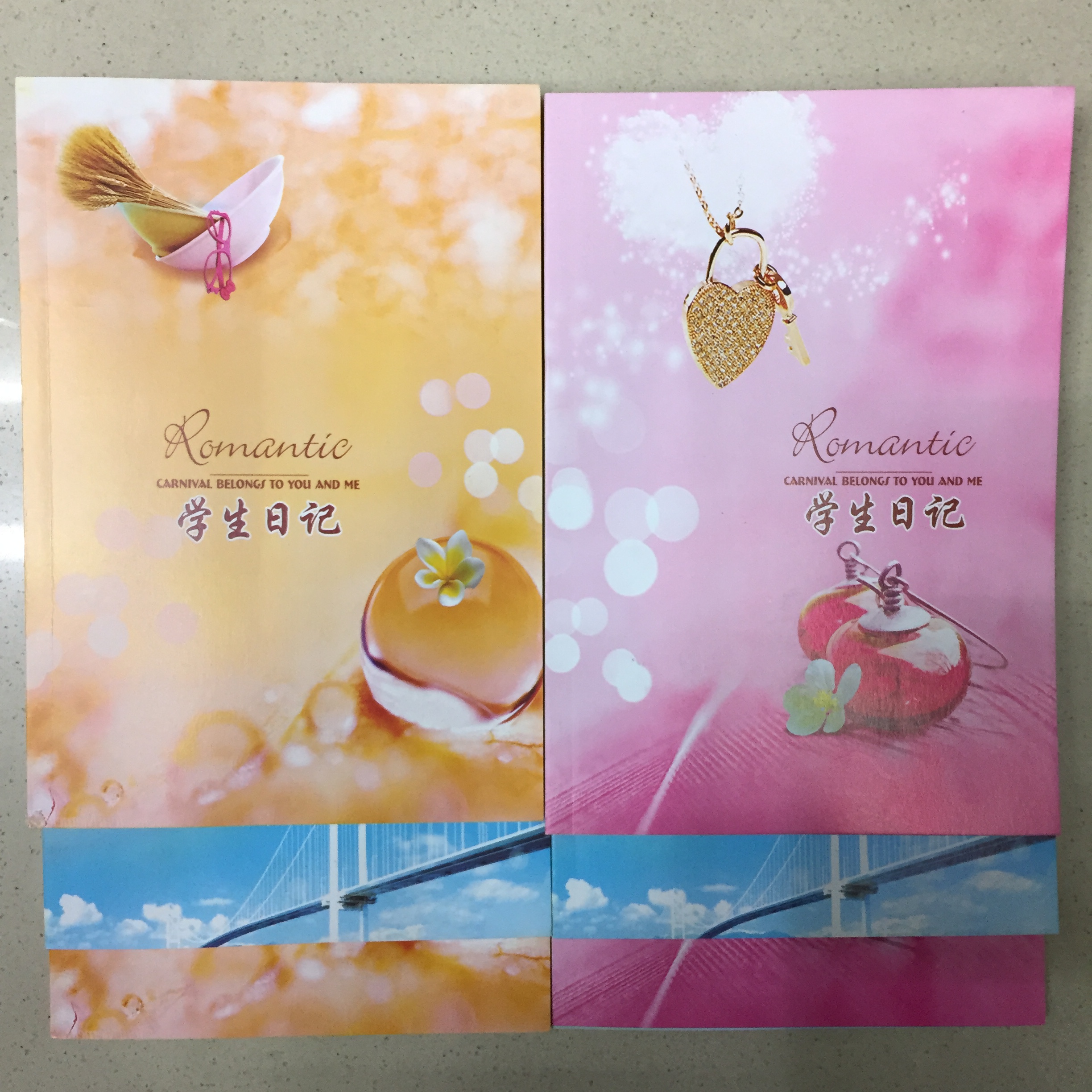 Student diary notebook workbook A5 soft copy